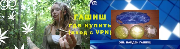 мдпв Осташков