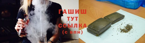 мдпв Осташков