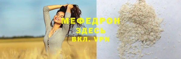 мдпв Осташков