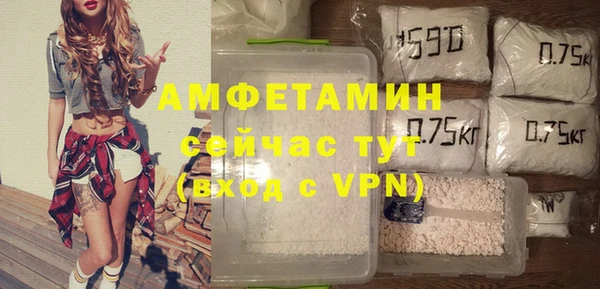 мдпв Осташков