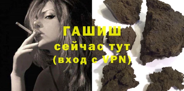 мдпв Осташков