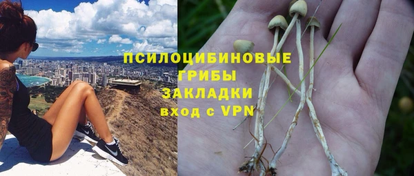 винт Осинники