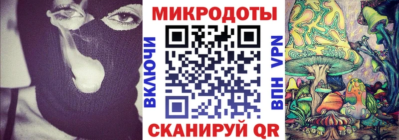 Псилоцибиновые грибы Psilocybine cubensis Курчатов