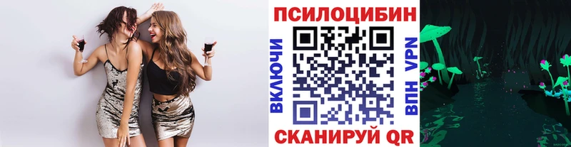 Псилоцибиновые грибы прущие грибы  Курчатов 