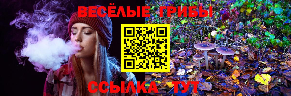 Галлюциногенные грибы Psilocybine cubensis  Галлюциногенные грибы прущие грибы  Курчатов  купить наркотик  Вход с VPN 
