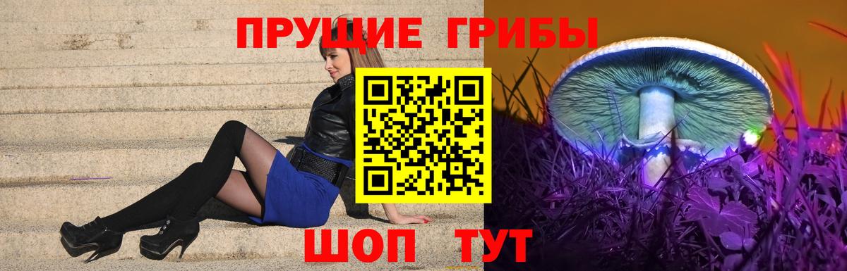 Псилоцибиновые грибы Magic Shrooms  Курчатов 