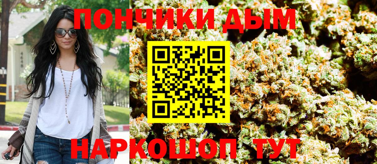 Бошки марихуана семена  Конопля семена  Курчатов  Каннабис гибрид  Бошки марихуана THC 21%  Вход с VPN 